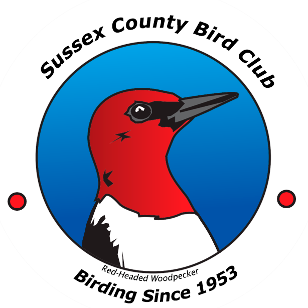 (c) Sussexcountybirdclub.org